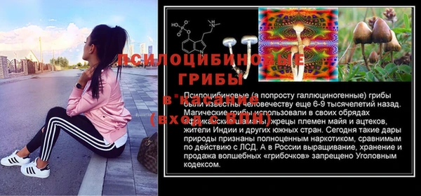 соль ск Абдулино