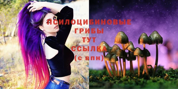 СК Абинск