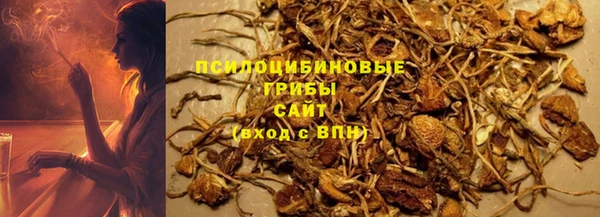 СК Абинск