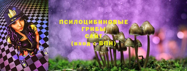 СК Абинск