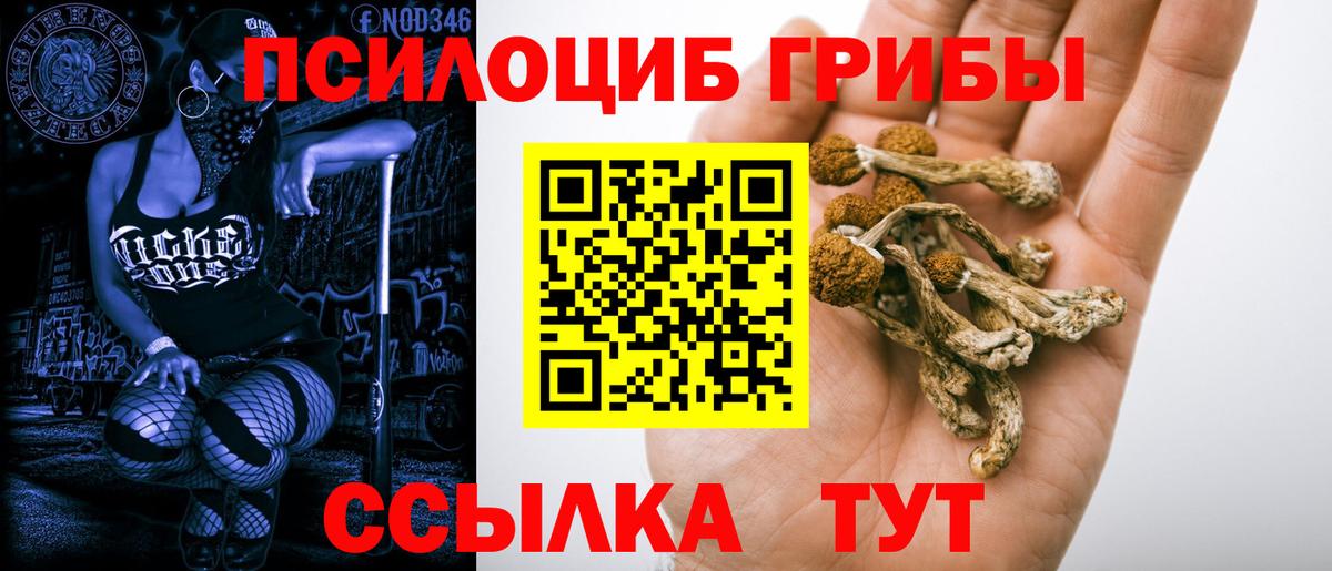 Псилоцибиновые грибы прущие грибы Екатеринбург